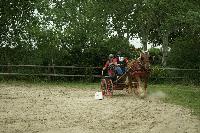 Photo n 53417&#10;SAINT SIFFRET 2024 Centre Equestre CENTAURE d'UZES&#10;&#10;Affiche 0 fois&#10;Ajoute le 09/05/2024 19:13:22 par JeanClaudeGrognet&#10;&#10;--> Cliquer pour agrandir <--