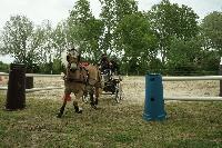 Photo n 53421&#10;SAINT SIFFRET 2024 Centre Equestre CENTAURE d'UZES&#10;&#10;Affiche 0 fois&#10;Ajoute le 09/05/2024 19:13:22 par JeanClaudeGrognet&#10;&#10;--> Cliquer pour agrandir <--