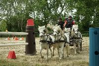 Photo n 53425&#10;SAINT SIFFRET 2024 Centre Equestre CENTAURE d'UZES&#10;&#10;Affiche 1 fois&#10;Ajoute le 09/05/2024 19:13:22 par JeanClaudeGrognet&#10;&#10;--> Cliquer pour agrandir <--