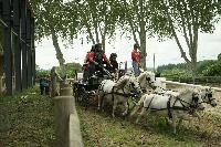 Photo n 53426&#10;SAINT SIFFRET 2024 Centre Equestre CENTAURE d'UZES&#10;&#10;Affiche 2 fois&#10;Ajoute le 09/05/2024 19:13:22 par JeanClaudeGrognet&#10;&#10;--> Cliquer pour agrandir <--