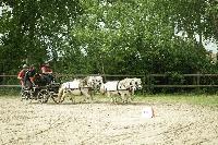 Photo n 53427&#10;SAINT SIFFRET 2024 Centre Equestre CENTAURE d'UZES&#10;&#10;Affiche 0 fois&#10;Ajoute le 09/05/2024 19:13:22 par JeanClaudeGrognet&#10;&#10;--> Cliquer pour agrandir <--