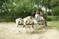 Photo n 53428&#10;SAINT SIFFRET 2024 Centre Equestre CENTAURE d'UZES&#10;&#10;Affiche 1 fois&#10;Ajoute le 09/05/2024 19:13:22 par JeanClaudeGrognet&#10;&#10;--> Cliquer pour agrandir <--