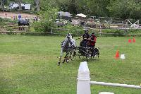 Photo n 53437&#10;SAINT SIFFRET 2024 Centre Equestre CENTAURE d'UZES&#10;&#10;Affiche 3 fois&#10;Ajoute le 09/05/2024 19:13:22 par JeanClaudeGrognet&#10;&#10;--> Cliquer pour agrandir <--