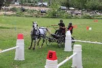 Photo n 53440&#10;SAINT SIFFRET 2024 Centre Equestre CENTAURE d'UZES&#10;&#10;Affiche 1 fois&#10;Ajoute le 09/05/2024 19:13:22 par JeanClaudeGrognet&#10;&#10;--> Cliquer pour agrandir <--