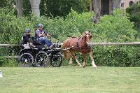 Photo n 53441&#10;SAINT SIFFRET 2024 Centre Equestre CENTAURE d'UZES&#10;&#10;Affiche 1 fois&#10;Ajoute le 09/05/2024 19:13:23 par JeanClaudeGrognet&#10;&#10;--> Cliquer pour agrandir <--