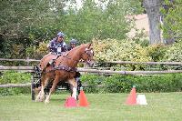 Photo n 53442&#10;SAINT SIFFRET 2024 Centre Equestre CENTAURE d'UZES&#10;&#10;Affiche 0 fois&#10;Ajoute le 09/05/2024 19:13:23 par JeanClaudeGrognet&#10;&#10;--> Cliquer pour agrandir <--