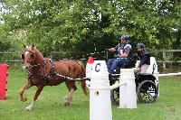 Photo n 53443&#10;SAINT SIFFRET 2024 Centre Equestre CENTAURE d'UZES&#10;&#10;Affiche 1 fois&#10;Ajoute le 09/05/2024 19:13:23 par JeanClaudeGrognet&#10;&#10;--> Cliquer pour agrandir <--