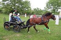 Photo n 53446&#10;SAINT SIFFRET 2024 Centre Equestre CENTAURE d'UZES&#10;&#10;Affiche 0 fois&#10;Ajoute le 09/05/2024 19:13:23 par JeanClaudeGrognet&#10;&#10;--> Cliquer pour agrandir <--