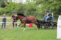 Photo n 53448&#10;SAINT SIFFRET 2024 Centre Equestre CENTAURE d'UZES&#10;&#10;Affiche 4 fois&#10;Ajoute le 09/05/2024 19:13:23 par JeanClaudeGrognet&#10;&#10;--> Cliquer pour agrandir <--