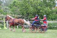 Photo n 53449&#10;SAINT SIFFRET 2024 Centre Equestre CENTAURE d'UZES&#10;&#10;Affiche 0 fois&#10;Ajoute le 09/05/2024 19:13:23 par JeanClaudeGrognet&#10;&#10;--> Cliquer pour agrandir <--