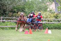 Photo n 53450&#10;SAINT SIFFRET 2024 Centre Equestre CENTAURE d'UZES&#10;&#10;Affiche 1 fois&#10;Ajoute le 09/05/2024 19:13:23 par JeanClaudeGrognet&#10;&#10;--> Cliquer pour agrandir <--