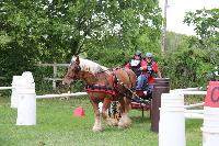 Photo n 53451&#10;SAINT SIFFRET 2024 Centre Equestre CENTAURE d'UZES&#10;&#10;Affiche 2 fois&#10;Ajoute le 09/05/2024 19:13:23 par JeanClaudeGrognet&#10;&#10;--> Cliquer pour agrandir <--