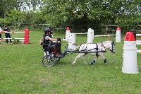 Photo n 53455&#10;SAINT SIFFRET 2024 Centre Equestre CENTAURE d'UZES&#10;&#10;Affiche 1 fois&#10;Ajoute le 09/05/2024 19:13:23 par JeanClaudeGrognet&#10;&#10;--> Cliquer pour agrandir <--