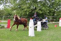 Photo n 53456&#10;SAINT SIFFRET 2024 Centre Equestre CENTAURE d'UZES&#10;&#10;Affiche 0 fois&#10;Ajoute le 09/05/2024 19:13:23 par JeanClaudeGrognet&#10;&#10;--> Cliquer pour agrandir <--