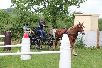 Photo n 53457&#10;SAINT SIFFRET 2024 Centre Equestre CENTAURE d'UZES&#10;&#10;Affiche 3 fois&#10;Ajoute le 09/05/2024 19:13:23 par JeanClaudeGrognet&#10;&#10;--> Cliquer pour agrandir <--