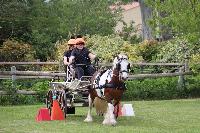 Photo n 53459&#10;SAINT SIFFRET 2024 Centre Equestre CENTAURE d'UZES&#10;&#10;Affiche 0 fois&#10;Ajoute le 09/05/2024 19:13:23 par JeanClaudeGrognet&#10;&#10;--> Cliquer pour agrandir <--