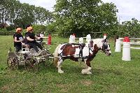 Photo n 53461&#10;SAINT SIFFRET 2024 Centre Equestre CENTAURE d'UZES&#10;&#10;Affiche 4 fois&#10;Ajoute le 09/05/2024 19:13:23 par JeanClaudeGrognet&#10;&#10;--> Cliquer pour agrandir <--