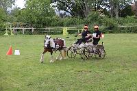 Photo n 53463&#10;SAINT SIFFRET 2024 Centre Equestre CENTAURE d'UZES&#10;&#10;Affiche 1 fois&#10;Ajoute le 09/05/2024 19:13:23 par JeanClaudeGrognet&#10;&#10;--> Cliquer pour agrandir <--