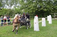 Photo n 53465&#10;SAINT SIFFRET 2024 Centre Equestre CENTAURE d'UZES&#10;&#10;Affiche 3 fois&#10;Ajoute le 09/05/2024 19:13:23 par JeanClaudeGrognet&#10;&#10;--> Cliquer pour agrandir <--