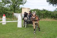 Photo n 53466&#10;SAINT SIFFRET 2024 Centre Equestre CENTAURE d'UZES&#10;&#10;Affiche 2 fois&#10;Ajoute le 09/05/2024 19:13:23 par JeanClaudeGrognet&#10;&#10;--> Cliquer pour agrandir <--