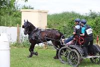 Photo n 53470&#10;SAINT SIFFRET 2024 Centre Equestre CENTAURE d'UZES&#10;&#10;Affiche 3 fois&#10;Ajoute le 09/05/2024 19:13:23 par JeanClaudeGrognet&#10;&#10;--> Cliquer pour agrandir <--