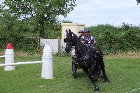 Photo n 53471&#10;SAINT SIFFRET 2024 Centre Equestre CENTAURE d'UZES&#10;&#10;Affiche 1 fois&#10;Ajoute le 09/05/2024 19:13:23 par JeanClaudeGrognet&#10;&#10;--> Cliquer pour agrandir <--