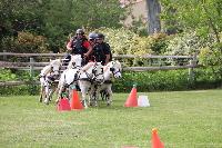 Photo n 53472&#10;SAINT SIFFRET 2024 Centre Equestre CENTAURE d'UZES&#10;&#10;Affiche 3 fois&#10;Ajoute le 09/05/2024 19:13:23 par JeanClaudeGrognet&#10;&#10;--> Cliquer pour agrandir <--