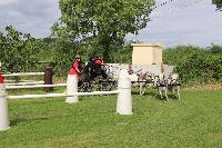 Photo n 53473&#10;SAINT SIFFRET 2024 Centre Equestre CENTAURE d'UZES&#10;&#10;Affiche 1 fois&#10;Ajoute le 09/05/2024 19:13:23 par JeanClaudeGrognet&#10;&#10;--> Cliquer pour agrandir <--