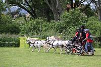 Photo n 53474&#10;SAINT SIFFRET 2024 Centre Equestre CENTAURE d'UZES&#10;&#10;Affiche 7 fois&#10;Ajoute le 09/05/2024 19:13:23 par JeanClaudeGrognet&#10;&#10;--> Cliquer pour agrandir <--